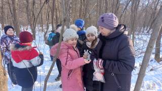 Покормите птиц зимой. Покормите птиц зимой.