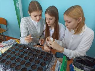Участие в Форуме классных руководителей