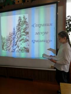 Сохраним ёлочки в лесу!