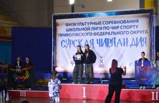 Сурская ЧирЛандия