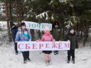 Экологическая акция "Ёлочка — зеленая иголочка" Экологическая акция "Ёлочка — зеленая иголочка"