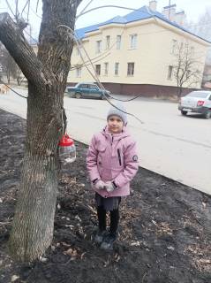 «Покорми птиц зимой!»